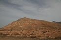 Kanary_2010 202